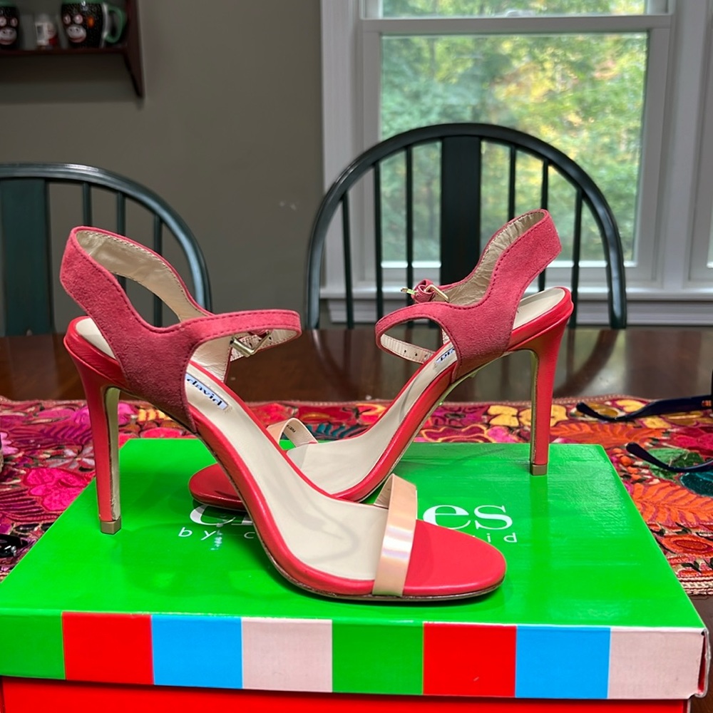 Charles David multicolor heels.